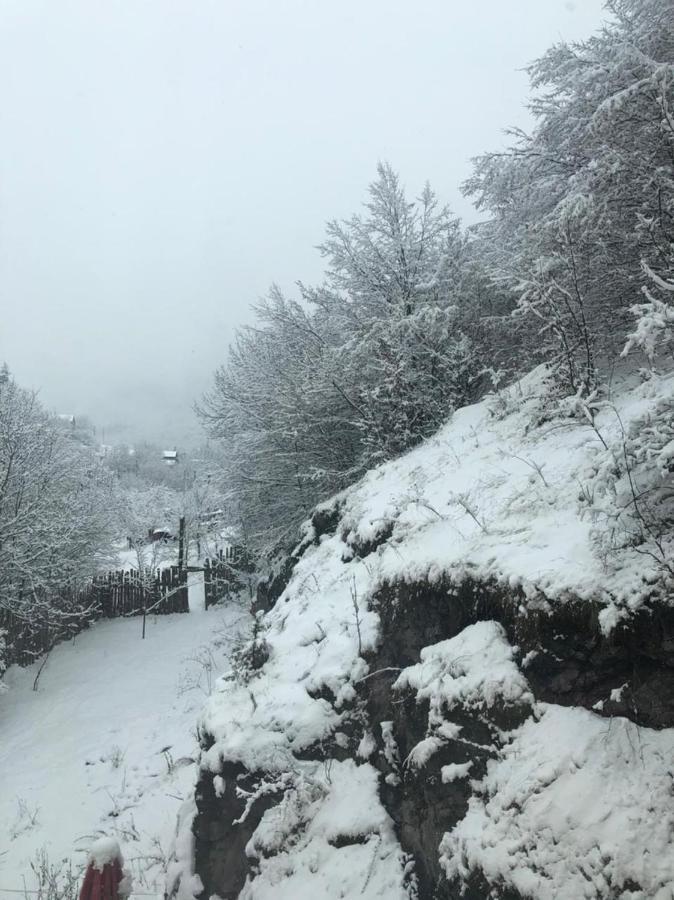 Popock Dilijan 2 Panzió Kültér fotó