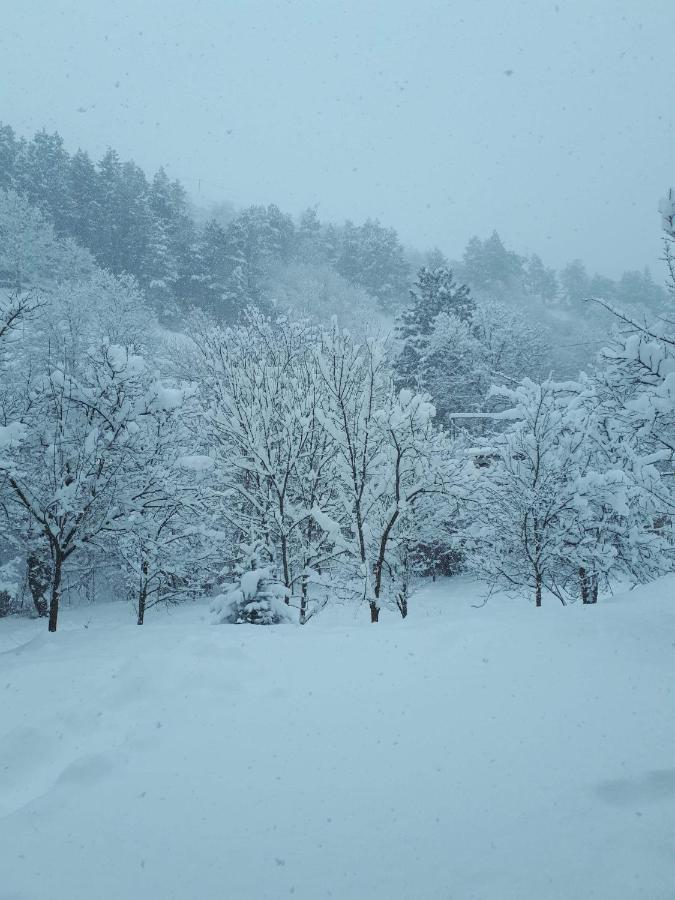 Popock Dilijan 2 Panzió Kültér fotó